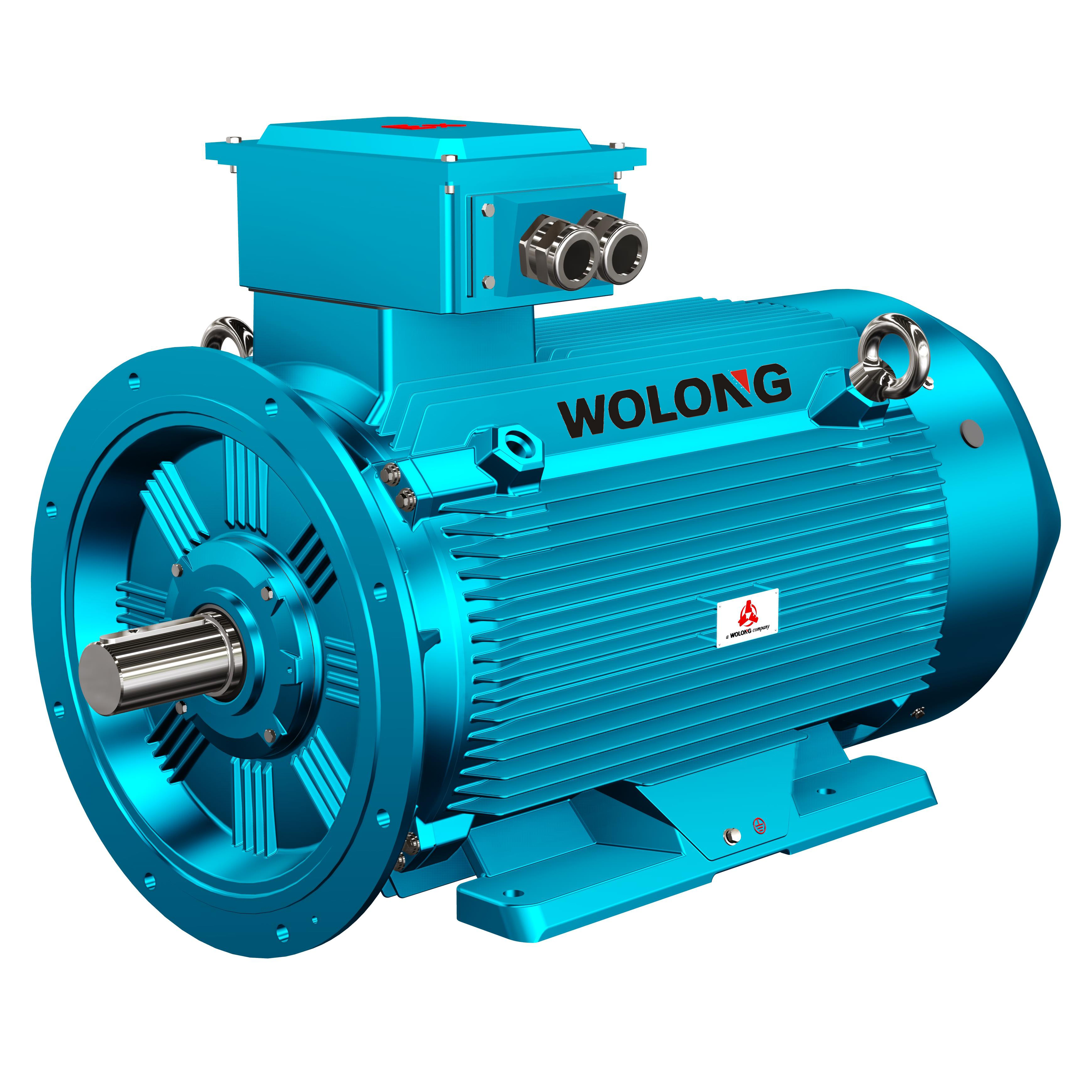 YFB4/YFB3 Low-voltage dust explosion-proof motor
